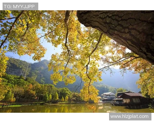 探索阿拉巴的历史文化与自然风光之美,感受独特魅力与人文底蕴 探索阿拉巴的历史文化与自然风光之美,感受独特魅力与人文底蕴